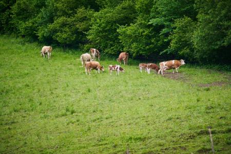 Jahrestagung_Bergsteigerdörfer_Samstag_1-6-24 (202)